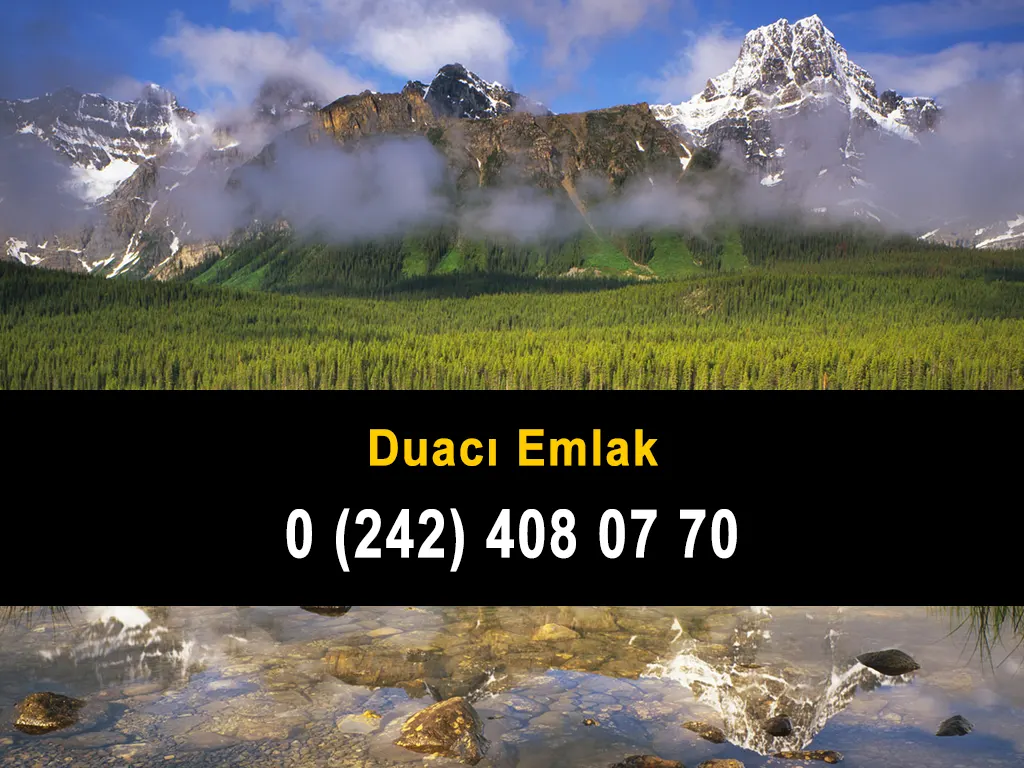 Duacı Emlak